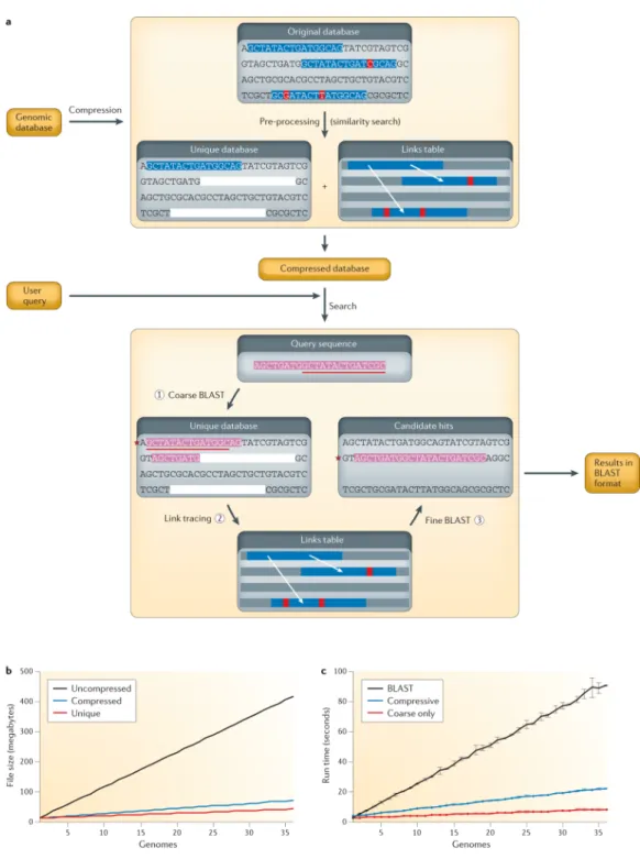 Figure 2. Application to sequence search