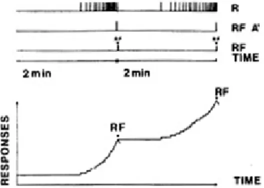 Figure  1-1 : Représentation des principaux événements dans un programme FI. De haut en bas :  réponses opérantes (R) ; disponibilité du renforçateur (RF A), distribution du renforçateur (RF),  temps