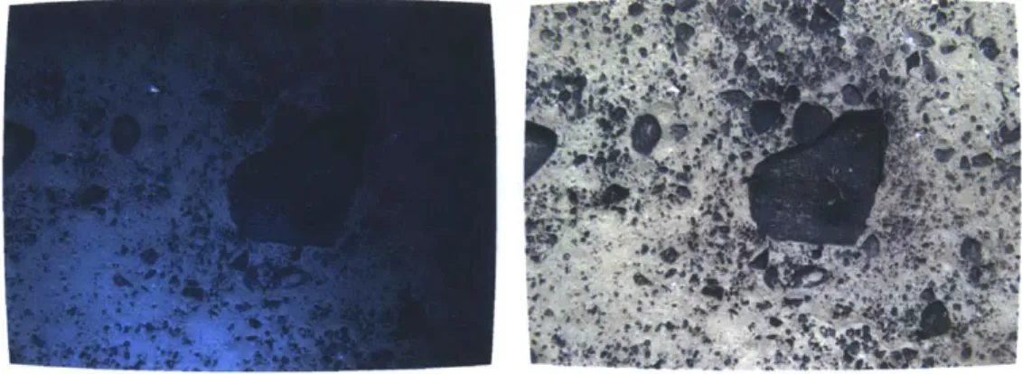 Figure  1-2:  Typical  example  of an  underwater  image  captured  by  an AUV  (left)  and after  correction  (right).