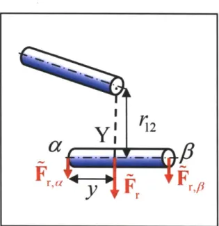 Figure 2.2  A  schematic  diagram  showing  the distribution  of the repulsive  force  acting  on point Y,  Fr  onto two  end  points,  a  and  p