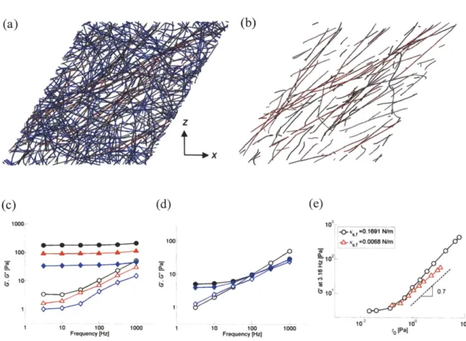 Figure  2.8  Importance  and  effects  of  extensional  stiffness  of  actin  filaments  in prestrained  networks
