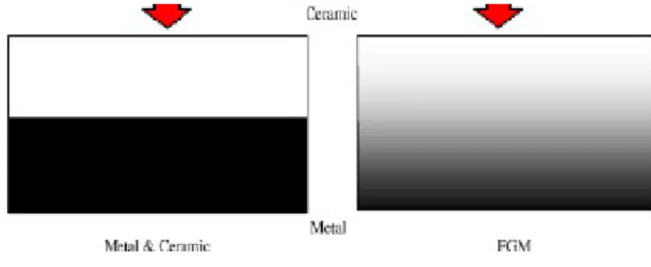 Figure II.1 : un type d'un matériau FGM en céramique et métal. 