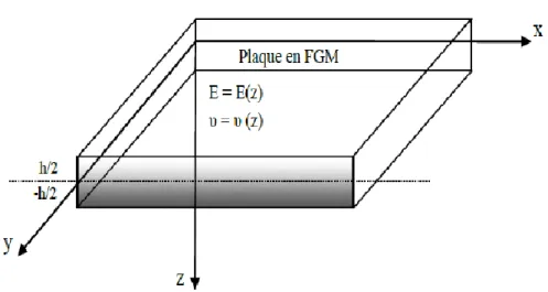 Figure II.21 : Les dimensions de la plaque FGM. 