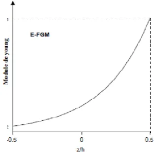 Figure II. 24 : La variation du module de Young de la plaque E-FGM. 