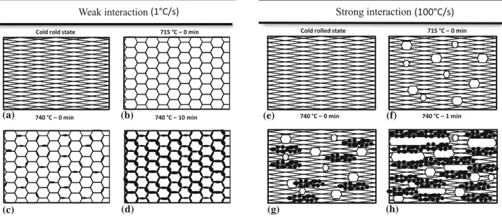 Fig. 12 Schematization of the recrystallization/transformation process associated with either slow heating (left) and rapid heating (right)