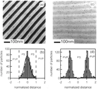 Figure  1.3.  Localization  of Au  nanoparticles  by  surface  functionalization,  (a)  and  (b)  PS-coated Au nanoparticles  are  localized  inside  PS domains  (light regions)  of PS-b-P2VP  block copolymer, while in  (c)  and  (d) PVP coated  Au nanopar