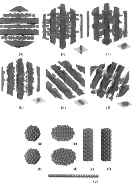 Figure  1.5.  DPD  study  of interfacial  stabilization  by  Janus  type  nanoparticles  (23),  different geometries  of Janus  nanoparticles  were  explored  (a),  (b)  spheres,  (c),  (d)  disks,  (e),  (f)  rods  with different  types of surface  chemis