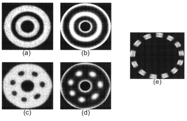 Figure  1.7.  Self-assembly  of  block  copolymer  nanoparticle  mixtures  confined  between concentric  circular  A-like  walls, (a,  b)f= 0.55,  ri =  3.0  Rg,  r