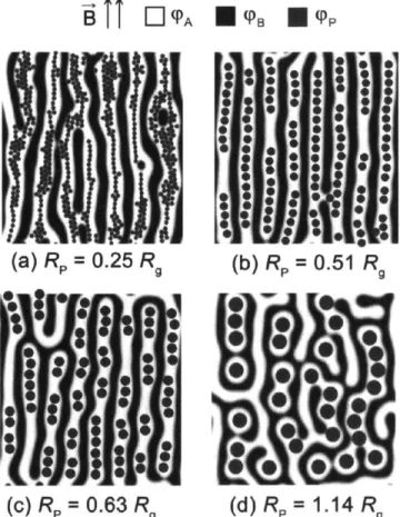 Figure 3.3.  Effect  of nanoparticle  size  on the  diblock  copolymer  self-assembly,  L  =  32 Rg,  c(p=