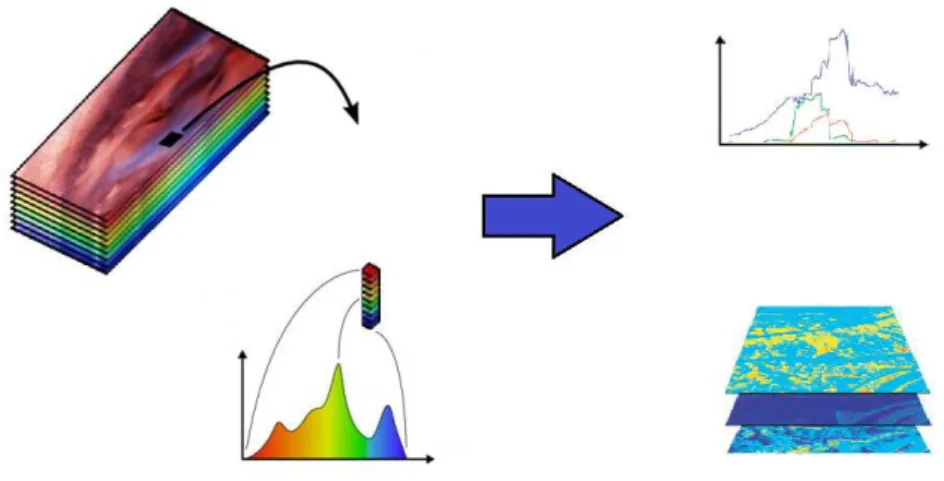 Figure 5.4 – Illustration du problème de démélange spectral. L’objectif est d’estimer U et V à partir d’un cube de données hyperspectrales Y .