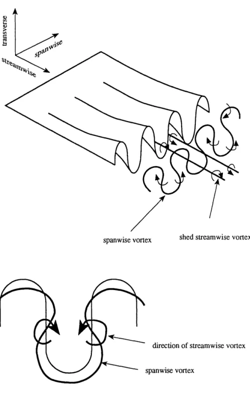 Figure 1-2  Schematic  of streamwise  and spanwise  vorticity shed from  a lobed  mixer (adapted from  [11])