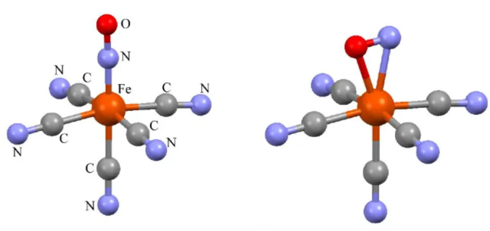 Figure 6  Refined structural models of the ground state (GS, left) and metastable state (MS2, right) of  SNP