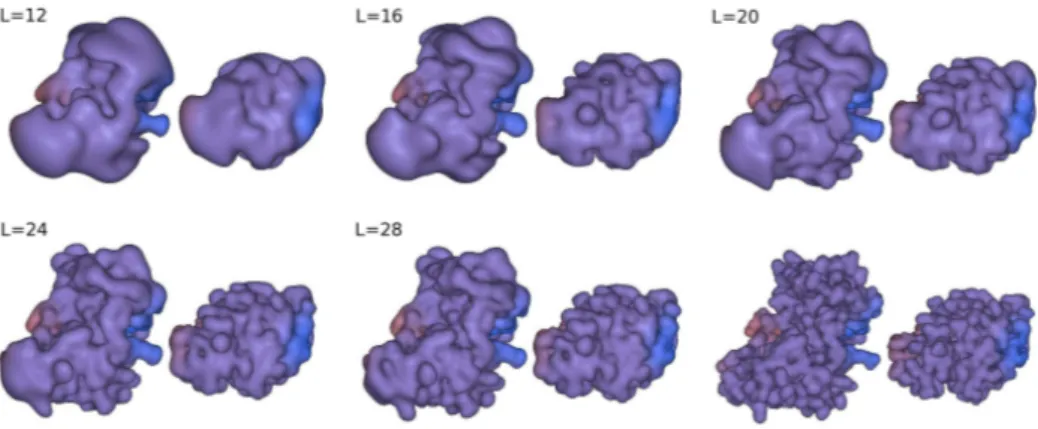 Figure 2.12: Les isosurfaces stériques de densité SPF de diverses expansions 3D de GTO pour le complexe entre le domaine de Fv de l’anticorps HyHel-5 (à gauche) et le lysozyme d’oeuf de poule (à droite)