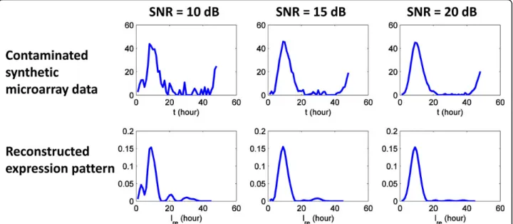 Figure 11 Microarray data contaminated by Gaussian white noise. Gaussian white noise is used to contaminate the synthetic microarray data of expression pattern (A)