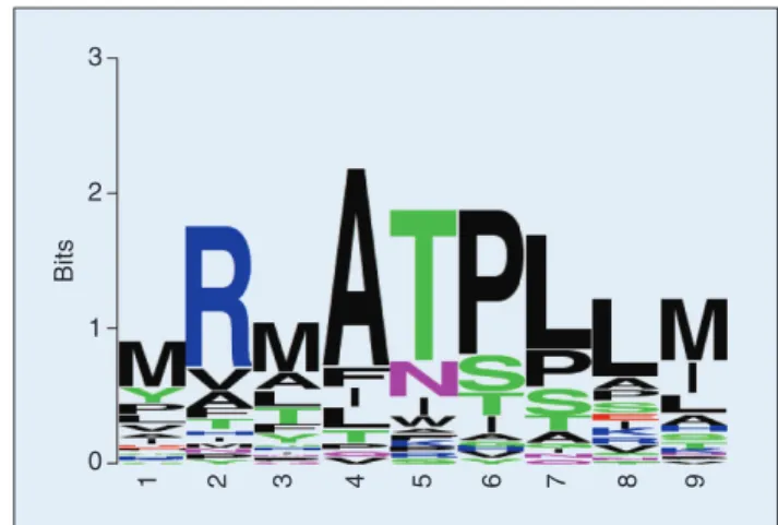 Fig. 3. The logo of a 9-mer motif binding peptides to MHC molecules.