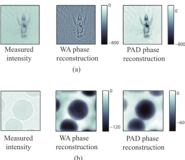 Figure 5. Single image phase reconstruction using experimental data. (a) The raw intensity image of an insect captured using a focusing polycapillary optic to generate source along with Tikhonov regularized WA (ϵ = 10 − 4.5 ) and PAD reconstructions