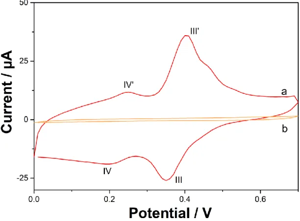 Figure 3: Cyclic voltammogram in 0.1 M NaClO 4  (pH 6), scan rate = 100 mV s -1 , of a GCE  subjected to 100 CV cycles in isoproturon medium and then transferred into a blank electrolyte  solution (curve a, the electrode was modified under the same conditi
