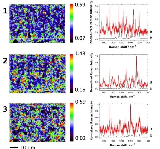 Figure  4:  Confocal  Raman  spectroscopy  obtained  after  modification  by  repetitive  cyclic  voltammetry  in  the  presence  of  100  µM  isoproturon