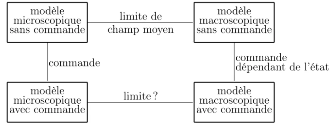 Figure 1 – Passage d’un modèle microscopique à un modèle macroscopique en présence de commande.