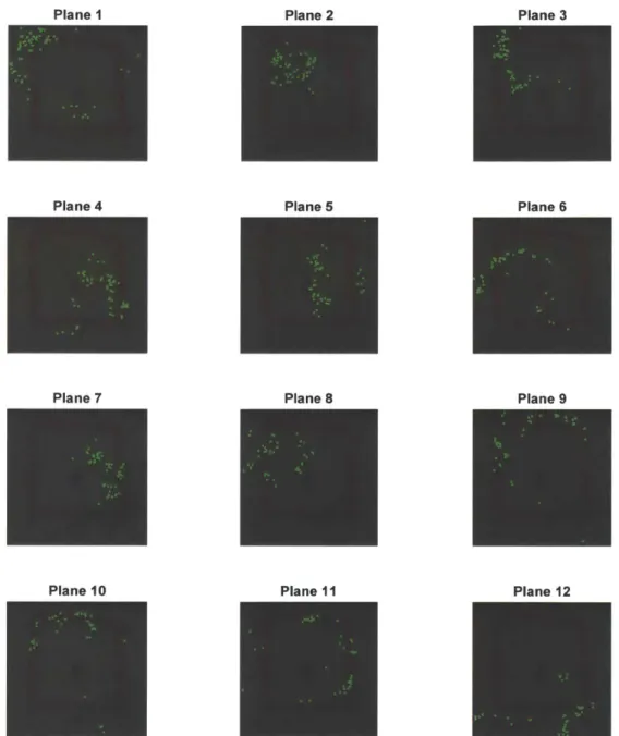 Figure  3-17:  Matched  keypoints  in  first  12  planes  identified  using  J-linkage  superim- superim-posed  on  T