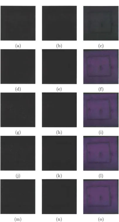 Figure  3-20:  Registration  result  for  time-lapse  skin  images.  (a-c)  Input  Images:  (a) Target  Image  T