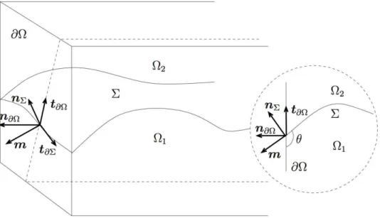 Fig. 6 – Le domaine Ω et plusieurs vecteurs. L’image en dimension 2 (dans le cercle en pointillés) représente des vecteurs contenus dans un plan orthogonal à t ∂Σ .