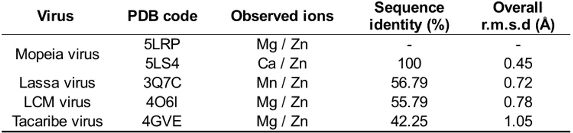 Table 2 Sequences and structures conservation of Arenaviridae exonuclease