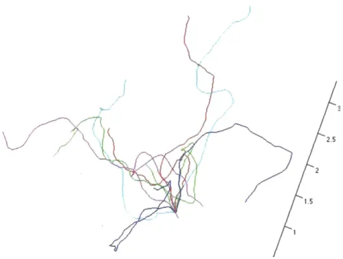 Figure  2-1:  Monte  Carlo-generated  conformations.  Simulated  chains  have  a segment  length  of  i  =  0.ll,  and  a  total length  of L  = 51,.