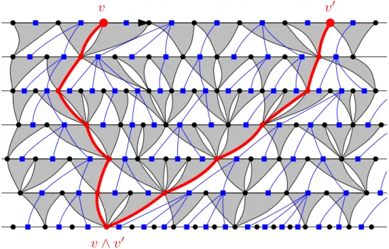 Figure 4: In red, two leftmost geodesic paths to the root started respectively at v and v 0 , up to their coalescence point v ∧ v 0 