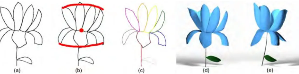 Figure 3.1 – Reconstruction d’un modèle de fleur à partir d’un croquis : le croquis d’entrée (a), les traits de guidage fournis par l’utilisateur qui seront utilisés pour la reconstruction du cône 3D (b), le croquis segmenté en pétales et autres éléments  