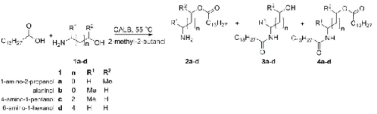 Table 1. Experimentally determined apparent k cat  values for N-acylation and O- O-acylation  using Candida antarctica lipase B in 2-methyl-2-butanol as solvent  at  55 ºC