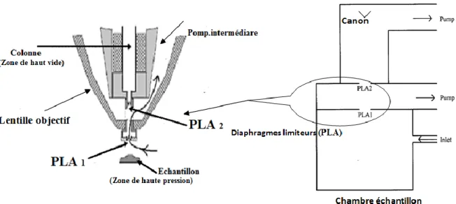 Figure I.13 : Schéma d’un exemple de pompage différentiel dans un MEBE. 
