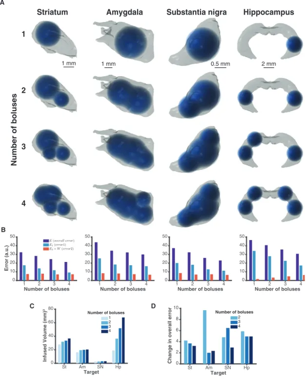 Figure 2. 3D Computational Simulations of Multi-bolus Targeting of Brain Structures Using COMMAND
