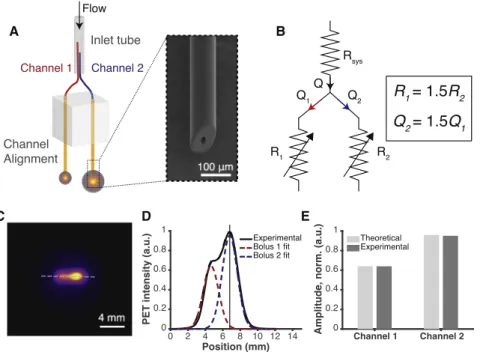 Figure 4. Rational Fluidic Design Enables Simultaneous Multi-bolus Infusions (A) Illustration of a two-channel device with a single fluidic input