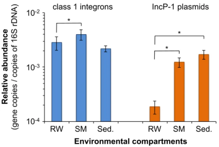 Figure 12 : Abondances relatives des intégrons de classe 1 et des plasmides IncP-1 dans les compartiments  physiques de la rivière Orne (De la Cruz Barrón et al., 2018)