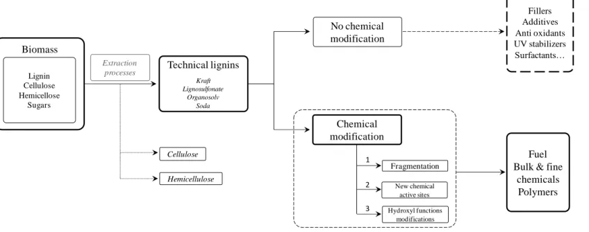 Figure I- 5. Global scheme of the uses of lignin with or without chemical modifications