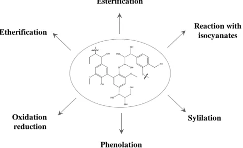 Figure I- 14. Summary of the chemical reactions for the functionalization of lignin hydroxyl  groups