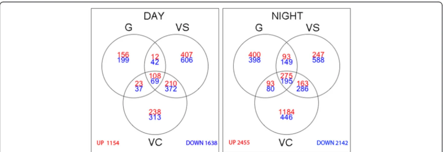 Figure 3 Venn Diagrams of up-or downregulated transcripts (fold change &gt; 2; padj &lt; 0.05) between control and heat stress at the different developmental stages separately (G: Green, VS: VéraisonSugar, VC: VéraisonColor) for DAY (left) and NIGHT (right