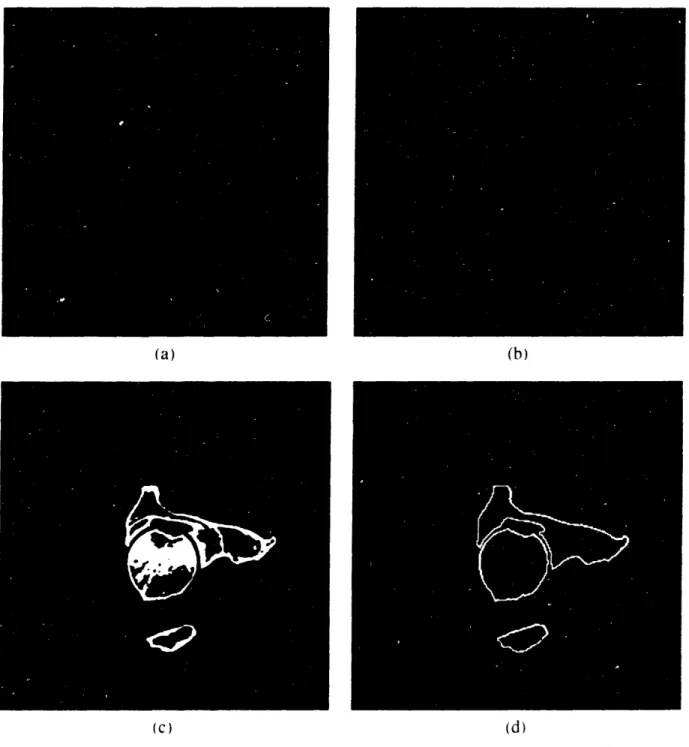 Figure  2.5:  Image  Processing  from  Raw  Image  (a)  to Segmented  Contour  (d)