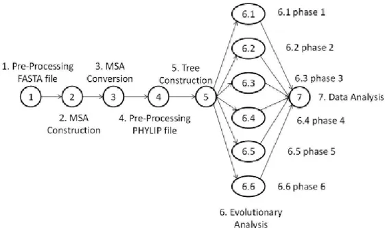 Figure  3-3 Le Workflow SciEvol. 