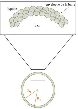 Figure 3.1 – Schéma d’une microbulle considérée dans le modèle de Church. L’enveloppe de la bulle est constituée d’un ensemble de molécules.