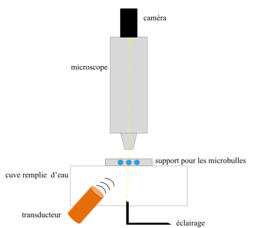 Figure 4.2 – Schéma du système expérimental utilisé pour l’observation directe des micro- micro-bulles.