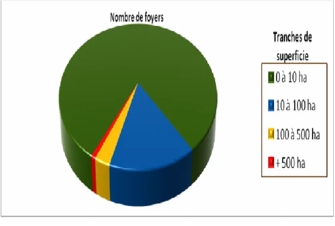 Figure 9 : Répartition des incendies selon leur superficie  2.10- Répartition par catégorie de causes 