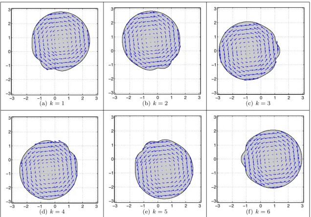 Figure 3: The stream function is ψ(r, θ) = cos(6θ)/r 6 , the holomorphic potential is ξ = i/z 6 and ω = 0.7, ρ = 0.9, λ = −2.5 and s 1 = (ρ cos(kπ/6), ρ sin(2kπ/6)) for k = 1, 