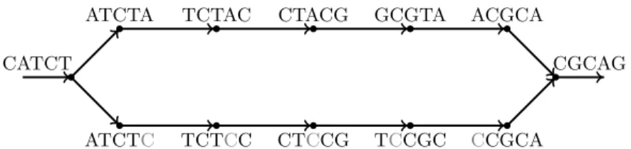 Fig. 1: Bubble due to a substitution (gray letter).
