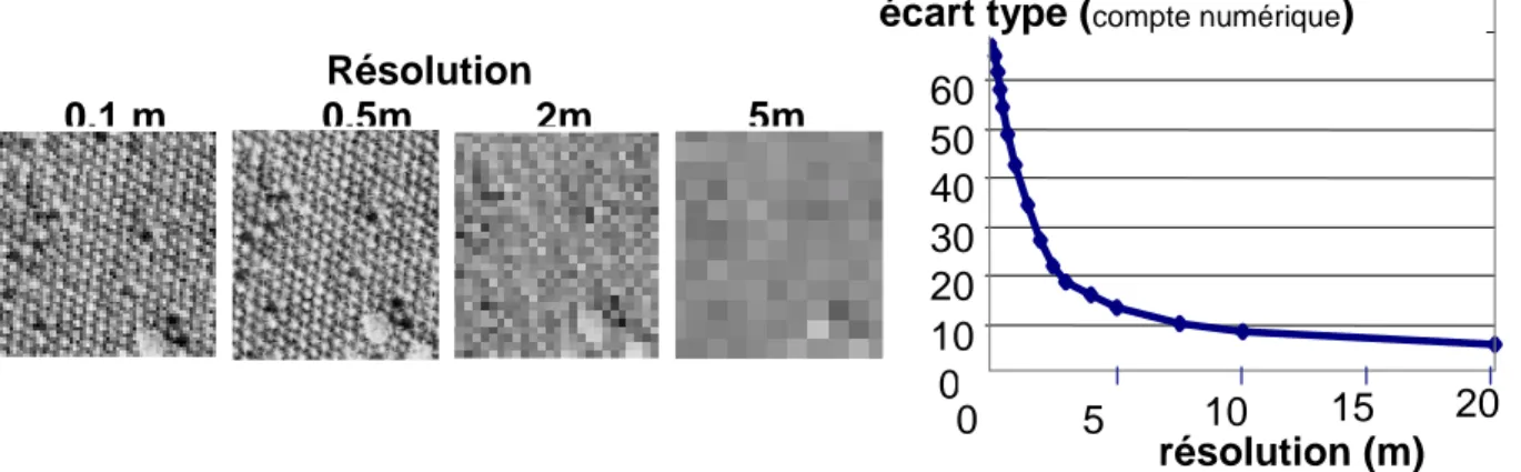 Figure 3.4. : évolution de l'écart type local (élément 3*3 pixels) en fonction de la résolution