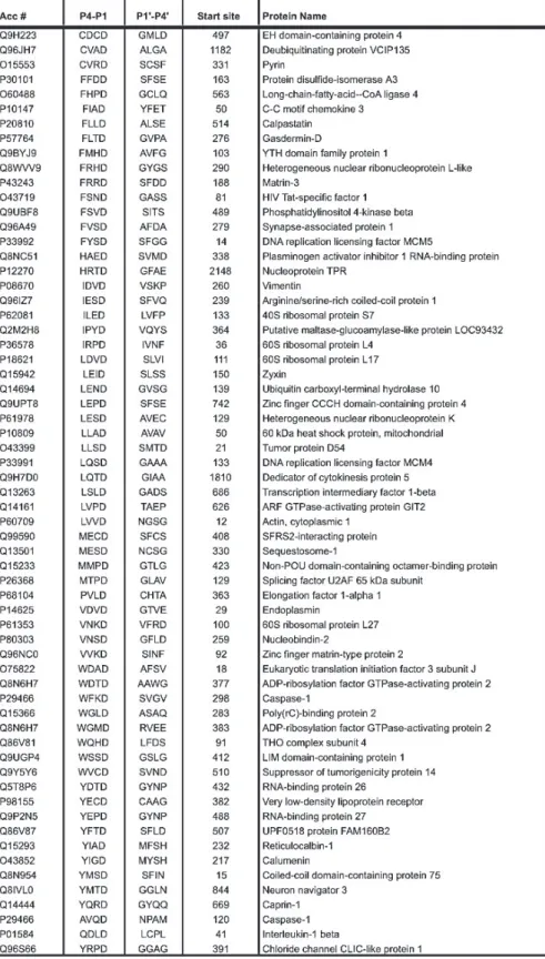 Tableau 3 : Substrats de la caspase-1 identifiés par la dégradomique (3). Les numéros d'accession proviennent  de la base de données suisse des protéines