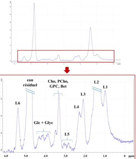 Figure 2.6 : Spectre  1 H SRM obtenu au niveau hépatique chez la souris à 7T  (1)  Les  lipides sont les principaux signaux présents dans le profil métabolique du foie