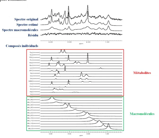 Figure 2.9 : Exemple de résultats obtenus chez le rat avec  l’Algorithme QUEST réalisé avec le logiciel CSIApo développé par Yann LeFur (CRMBM, Marseille, France)  