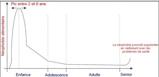 Figure 1. Evolution de la néophobie alimentaire avec l’âge (Dovey et al. 2008)  4. 1. 2